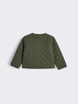 dark olive