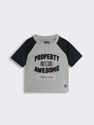 Toddler Boys Cotton Printed Raglan Half Sleeve T-Shirt
